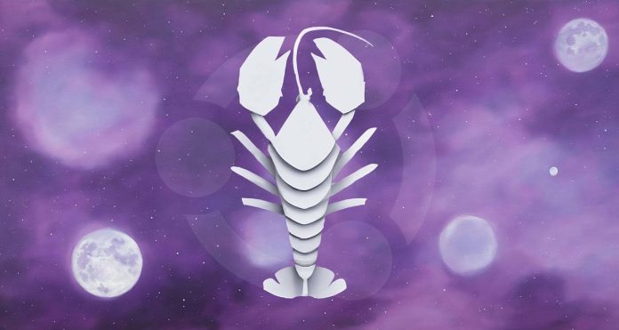 Ubuntu 25.04 Lobster Hero Image